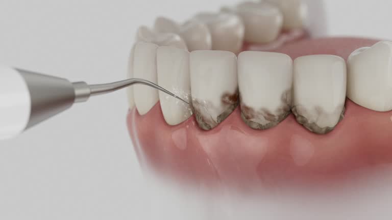 Reliable Dental contractor in Calumet, PA by Dentist Open Now